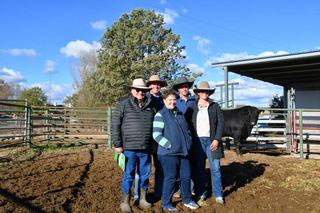 Record $14,220 average achieved for 25th annual Dulverton Angus Bull Sale