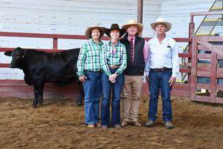 Inaugural Gympie Brangus and Ultrablack Female Sale top heifer eclipses competition