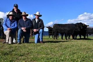 Booragul achieves 100pc clearance as buyers chase maternal, docility traits