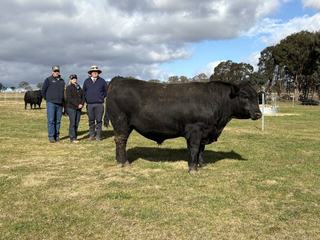 Repeat buyers dominate bidding as Inglebrae Farms records full clearance
