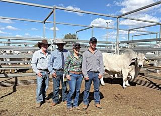 Elrose principal Rodger Jefferis says Brahman females are making a comeback