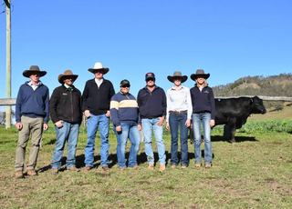 Equal top achieved for Angus, Hereford as milestone reached at Curracabark