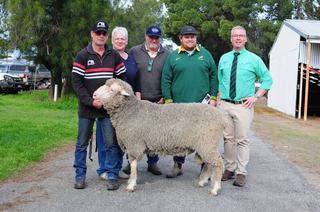 O'Brien sale topper heads to South East during successful ram auction