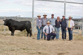 JK Cattle Co sale report: what the top buyers were looking for this year
