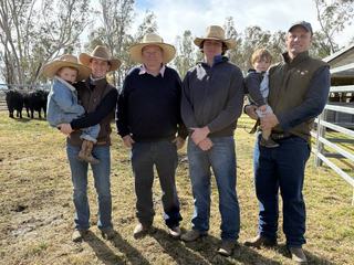 'Explosive' growth traits drive bidders at Hazeldean Tamworth bull sale
