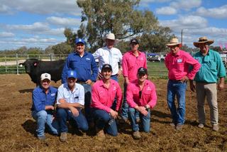 Te Mania Angus marks 20 years of Walgett sales with 100pc clearance