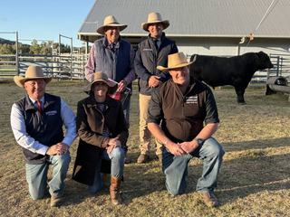 Booroomooka bull with 'curve-bending' data sets stud record in centenary sale