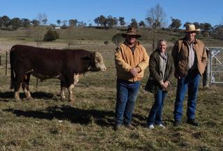 Vanilla was a popular flavour for return buyers at Supple Whiteface sale