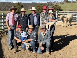 Wakefield Charolais deliver proven structure and figures to repeat clients