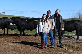 Bidding wars for the pick of the litter drive up sales at Bannaby Angus