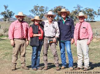 First Firestone sons command strong interest at Oakey Creek auction