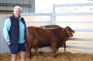 Strong buyer demand for females at High Country sale sees top price lift
