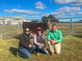 Bendoc Park smashes record as Victorian stud picks up top-priced bull