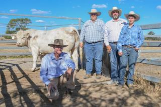 First-time buyer takes home top-priced lot at 2026 ANC Charolais sale