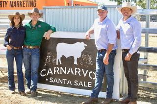 High clearance shows strong demand at inaugural Carnarvon Santa sale