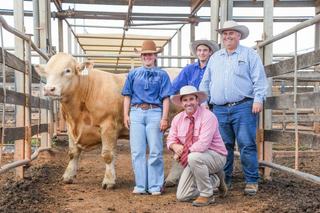 Young gun stud principal takes home one of two top-price lots at Advance sale