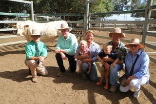 Prizewinning beef producers drive strong demand at Lambert bull sale