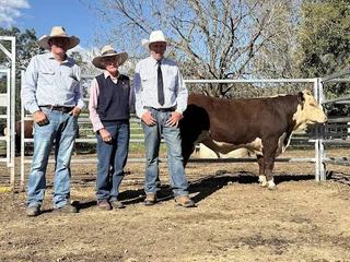 NSW and SA buyers chase docility and carcase at Elite Poll Herefords