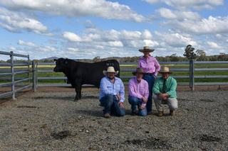 The Rock Angus marks 10 years with top price bull selling to prominent NSW stud