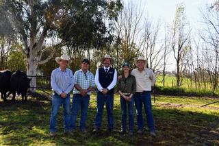 Mates join forces to secure bull with 'great structure' at Kenny's Creek Angus