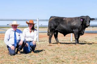 Meandarra stud principals 'blown away' after 2026 sale averages $19,000