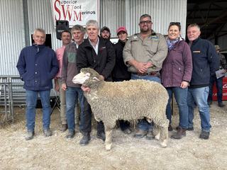 Buyers raise sights at SWM's annual ram sale for huge lift in sale average
