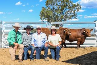 Power of Red Qld Red Angus sale hits $20,000 top twice in its Dalby debut