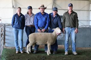 Proven genetics has buyers bid to top price twice at Rowallan Poll Dorset's