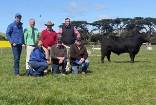 Top gun Tom Cruise sons power Banquet Angus sale as syndicate buys top bull