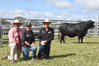 'Nothing to frown about': standout heifer hits $55k at Telpara Hills sale