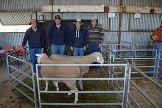 Buyers seek 'ready to work' rams at Windy Hill, Basalt on-property sale
