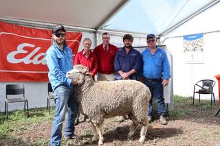 Forest Springs records a more than $700 jump in average price at annual sale