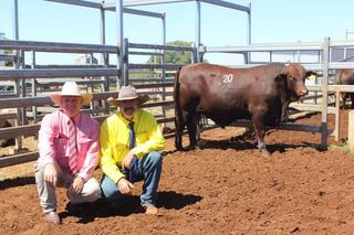 'He has a lot to offer': Online bidders push prices at Cooinda helmsman sale