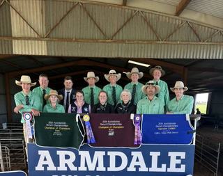 Strong demand from repeat buyers lifts Armdale Poll Dorset ram sale average