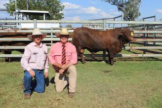 Rosevale sale brings in $2.4 million, as expanded catalogue suits all buyers