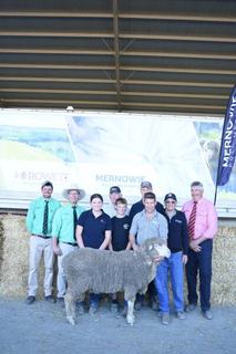 Mernowie clears all rams into varied climates across SA and eastern states