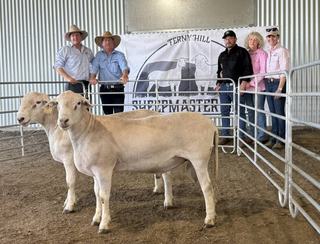 Big trek for top genetics as Ferny Hill Sheepmaster rams head interstate
