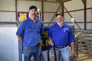Clearance up as loyal buyers back Castle Camps' two-breed ram sale
