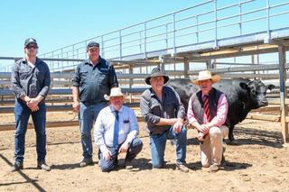 Top price bull heads to SA following Bonnydale Black Simmental sale in Roma