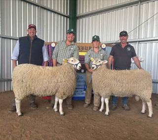 Carcase traits and wool genetics lead to Normanhurst dual sale-toppers