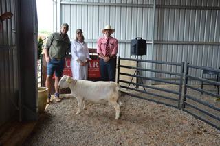 Structure and growth has bidders chase productive Bulmar Ultra Whites
