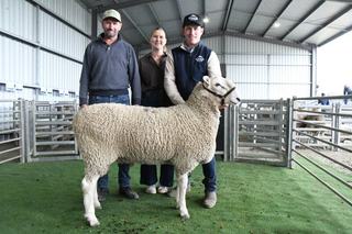 Show-stopping ram makes $10,000 at Glenlee Park's annual ram sale