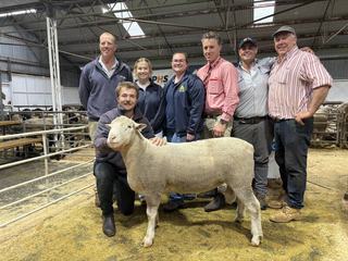 Mullinger Park stud sells 'most rams ever' in massive three-breed sale
