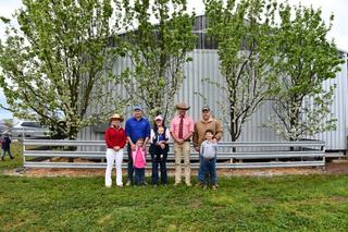 Carcase traits lift competition, prices for Springwaters Poll Dorset rams