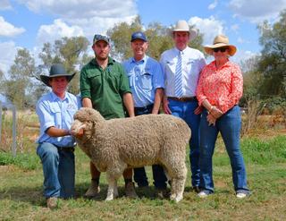 Capel legacy continues as Bungulla Merino rams set record average