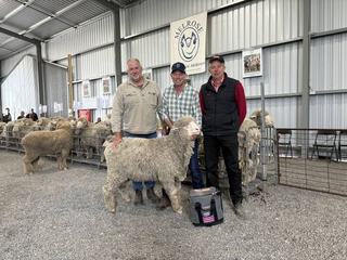 'Not trying to do anything fancy': Melrose's polled and horned rams go local