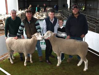 Englewood Park stud celebrates total clearance of rams after tough 2025