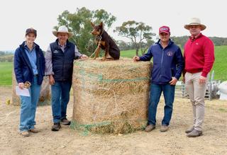 Why bloodline depth makes Capree genetics an industry benchmark