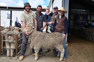 'Hardly a hole' in Hazeldean ram sale as southern clients invest in new sires