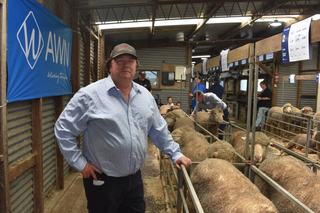 Volume buyers take home fair share of Boorana's offering at Glenthompson